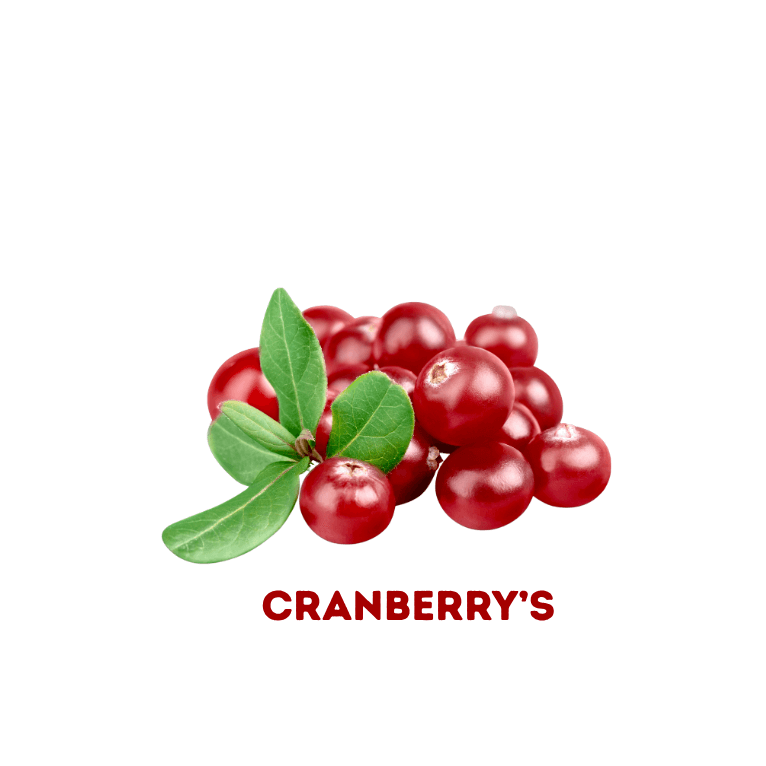Cranberry | 60 caps | Blaas - Afbeelding 4