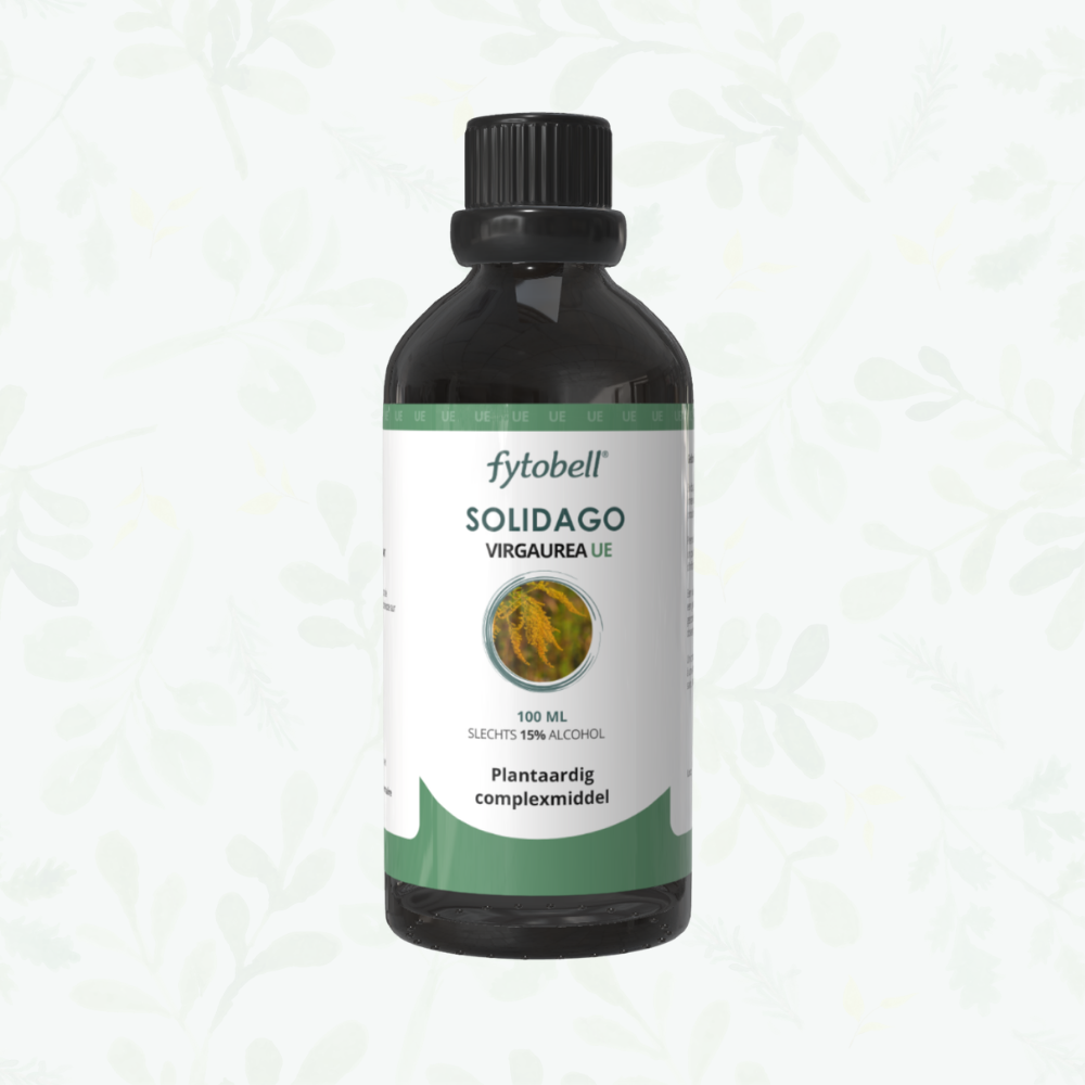 Solidago virgaurea UE Nieren