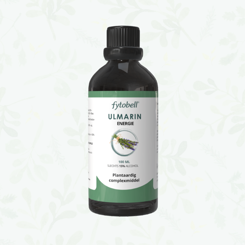 Ulmarin Energie